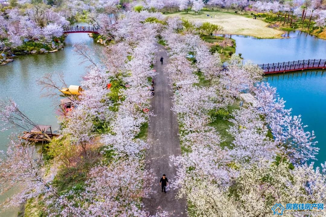 凯旋湾