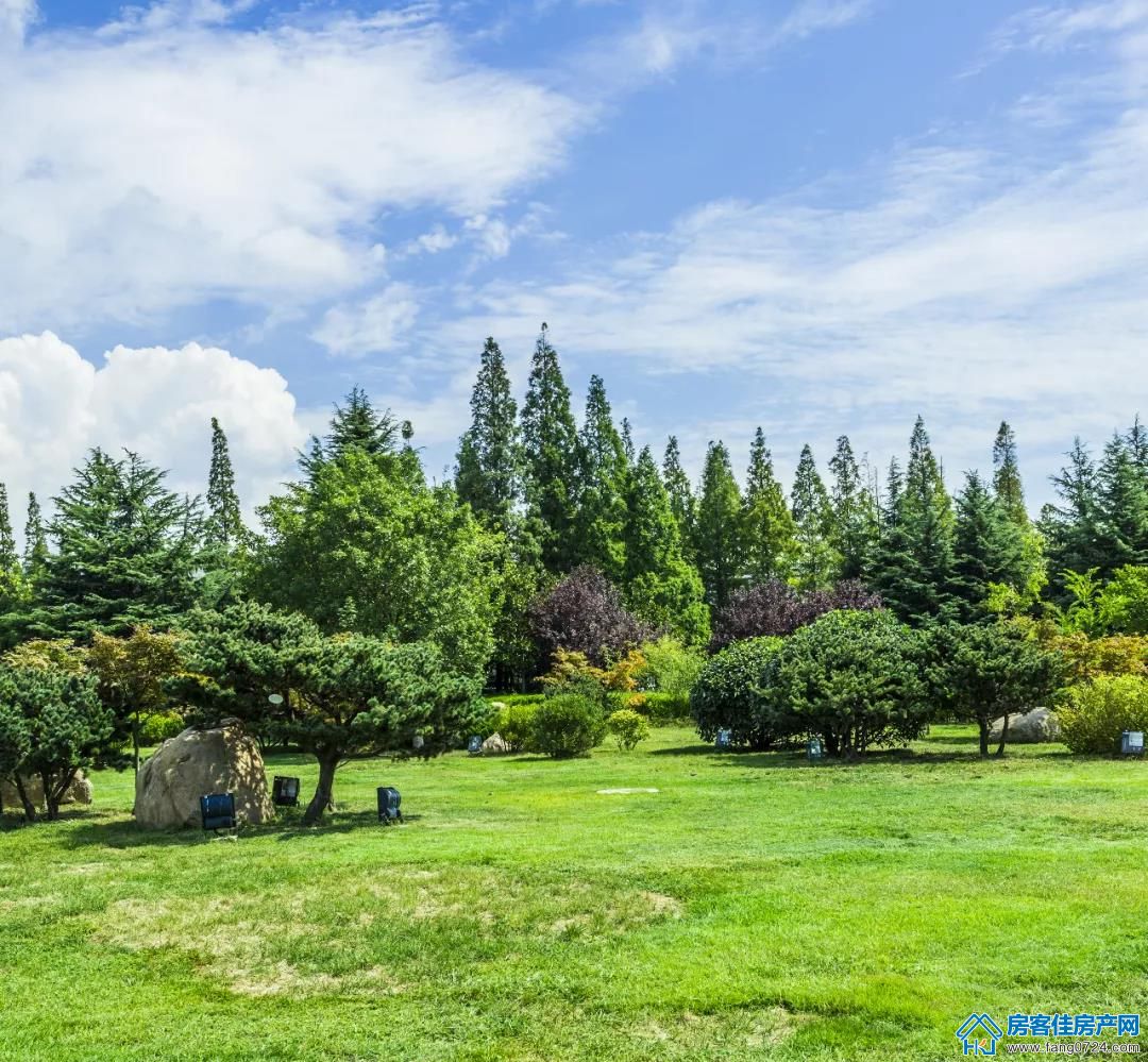 紫悦蓝山