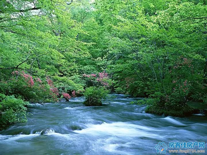 玲珑·紫悦蓝山