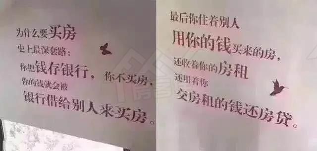 1586161941788579.jpg 微信图片_20200406163127.jpg