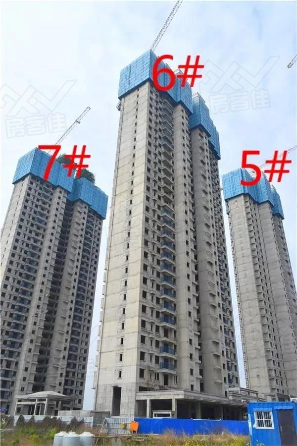 1587450507908064.jpg