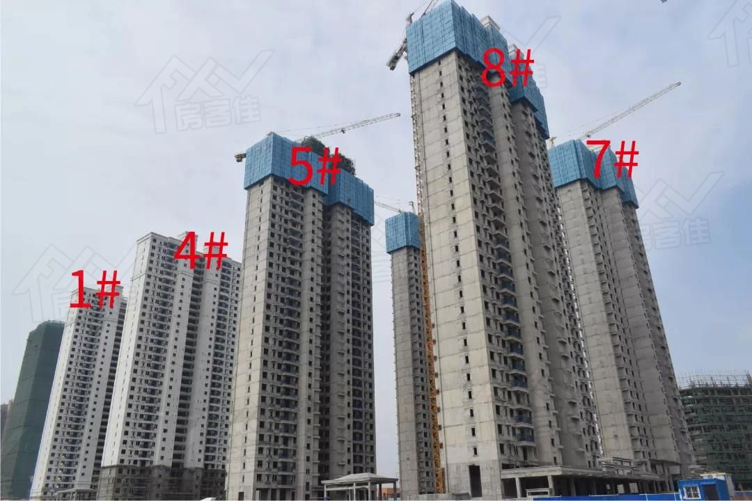1587450901586076.jpg