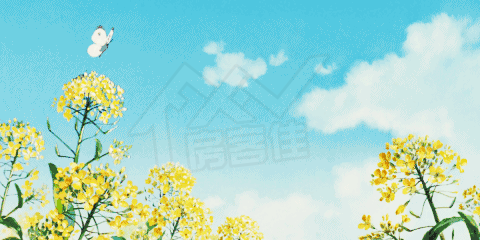 1588727113189257.gif 1588727113189257.gif