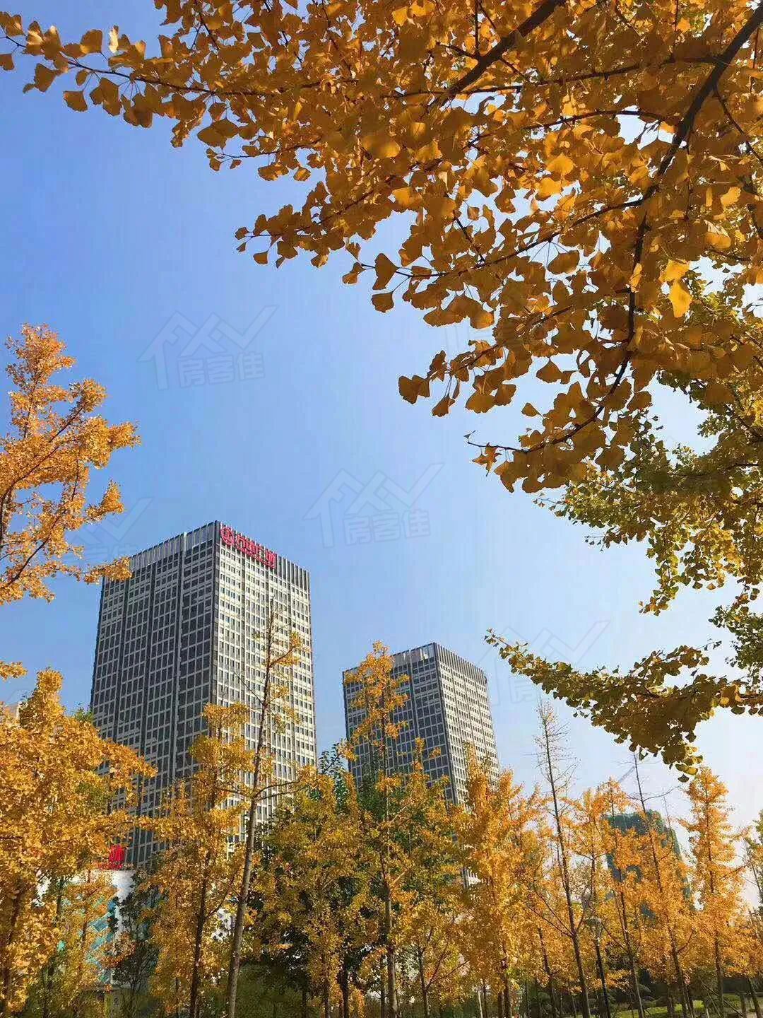 万达写字楼 万达写字楼