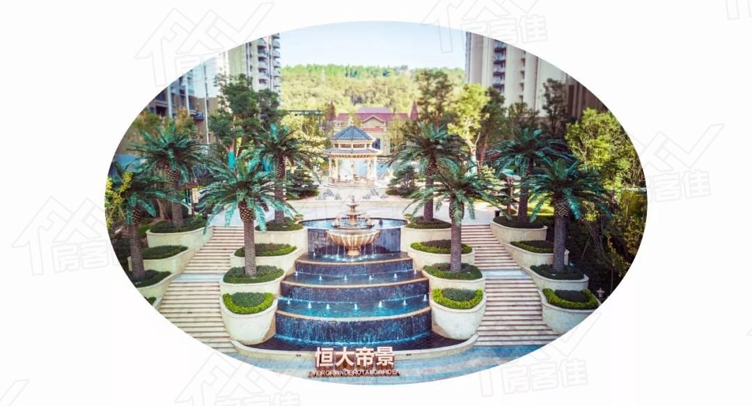 1589858169336576.jpg 1589858169336576.jpg