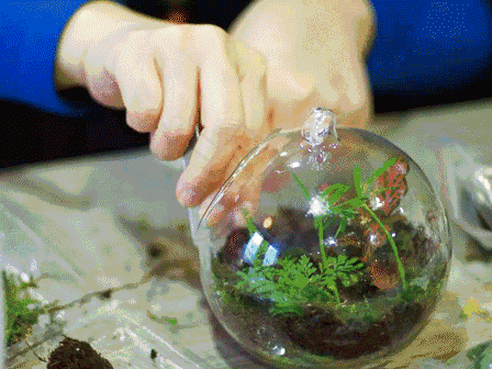 1590115107528709.gif 1590115107528709.gif
