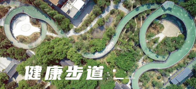 1590474013541768.gif