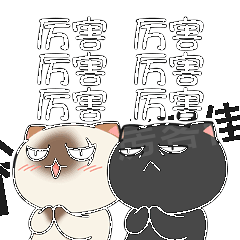 中宇魅力城 中宇魅力城