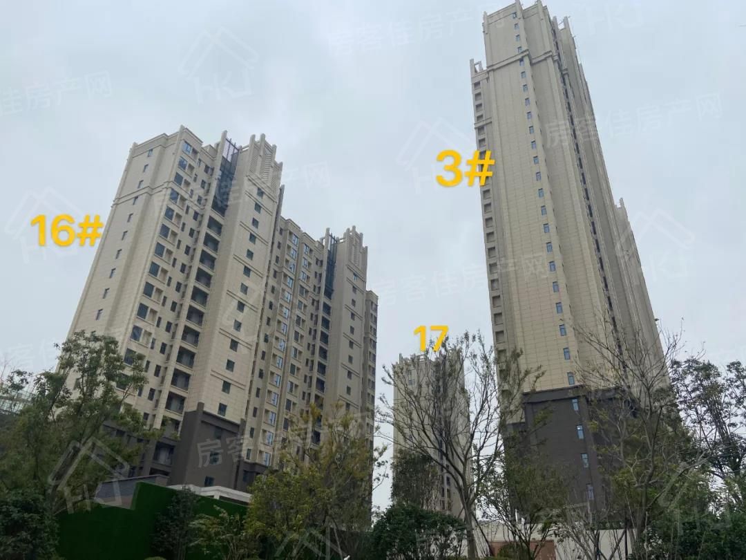 汇金中心·金樾府项目实景图 汇金中心·金樾府项目实景图