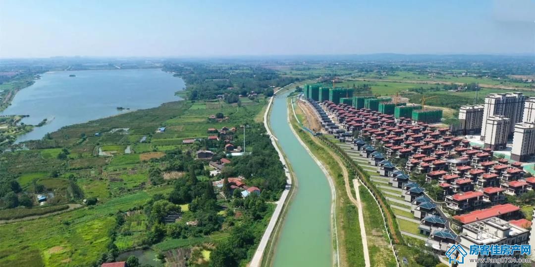 洋丰·凤凰香醍实拍图 洋丰·凤凰香醍实拍图