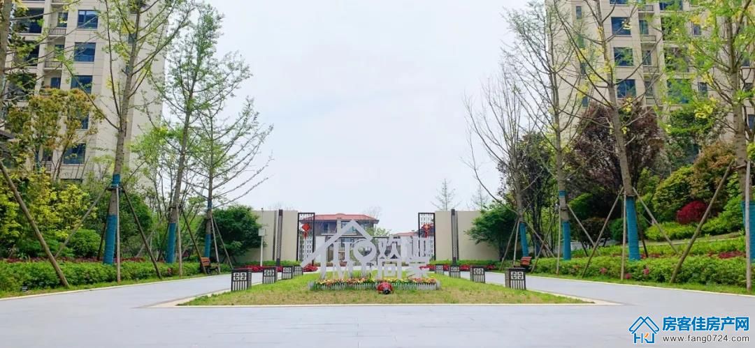 凤凰香醍 凤凰香醍