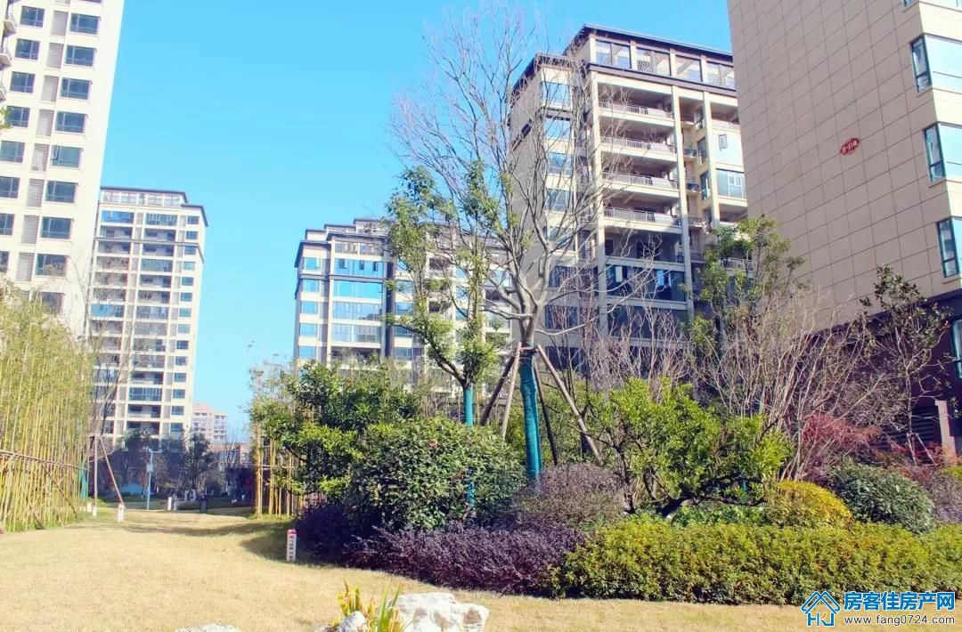 凤凰香醍 凤凰香醍