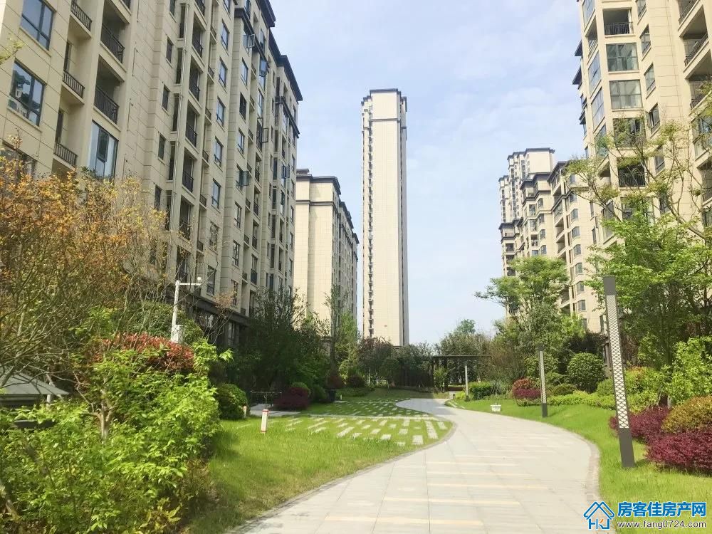 凤凰香醍 凤凰香醍