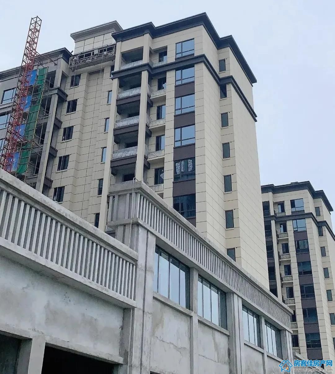凤凰香醍 凤凰香醍