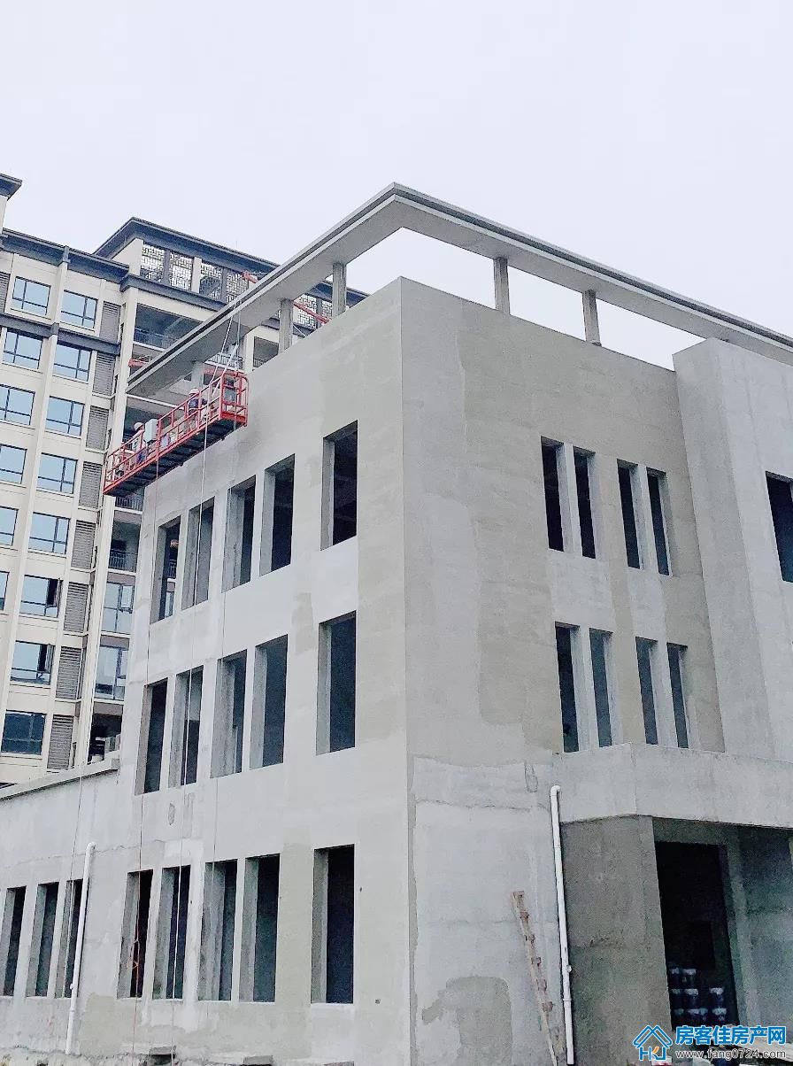 凤凰香醍 凤凰香醍