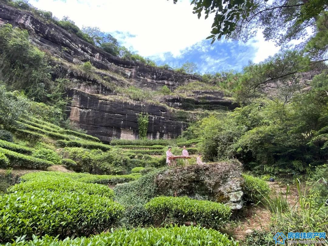 世茂 世茂