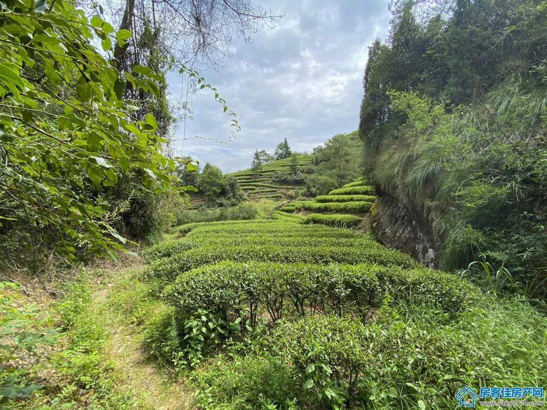 世茂 世茂