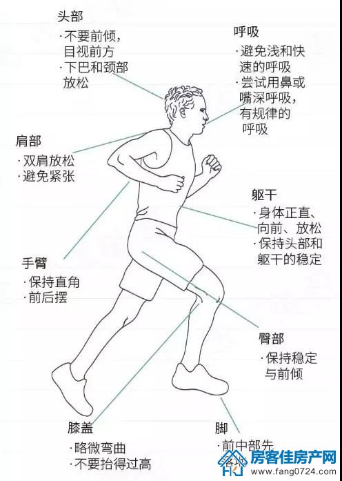 紫薇雅著 紫薇雅著