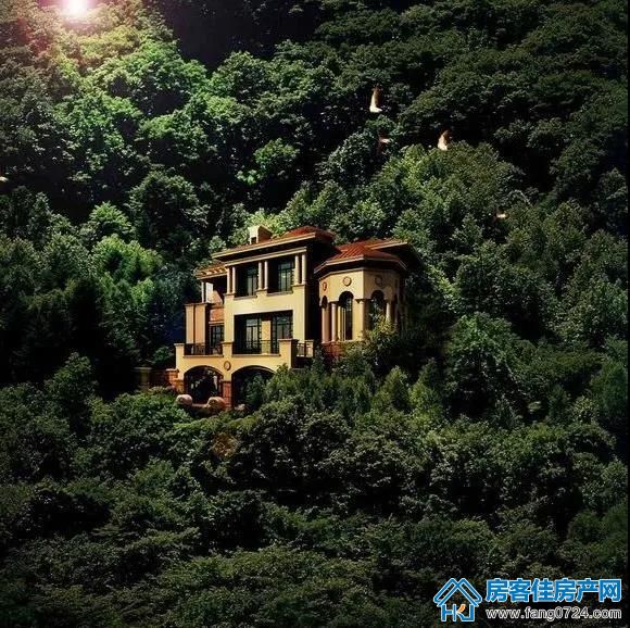 玲珑紫悦蓝山