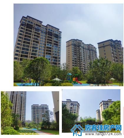 洋丰·凤凰香醍 洋丰·凤凰香醍