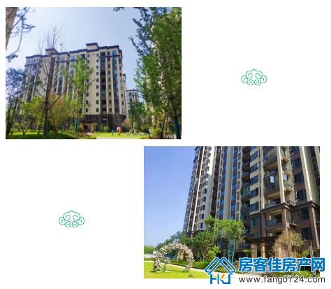 洋丰·凤凰香醍 洋丰·凤凰香醍