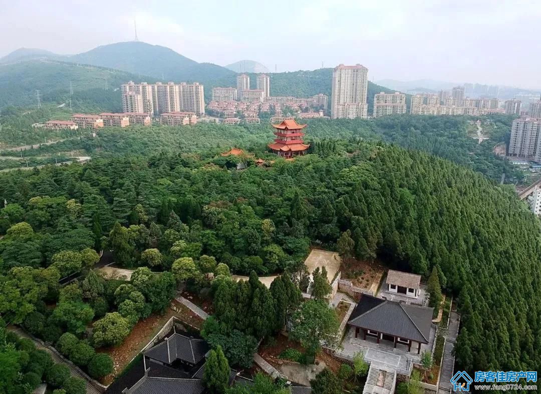 龙山中央商务区