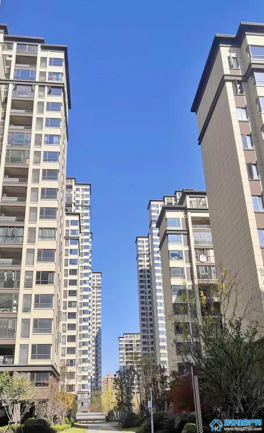 洋丰·凤凰香醍 洋丰·凤凰香醍