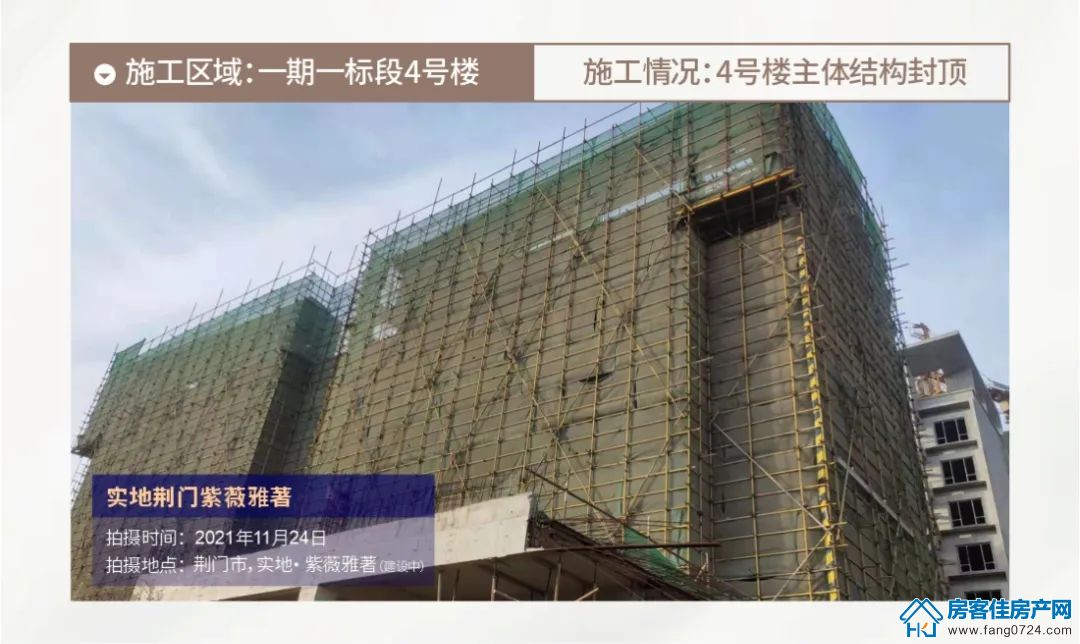 实地·紫薇雅著