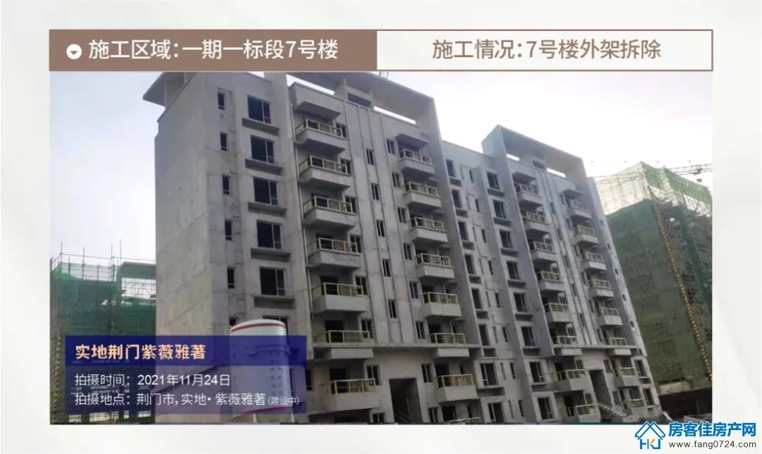 实地·紫薇雅著