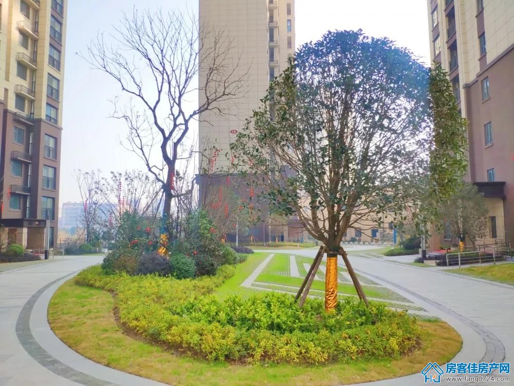 洋丰·象山玉园 洋丰·象山玉园