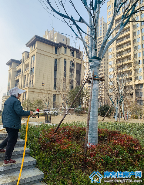 汇金中心·金樾府